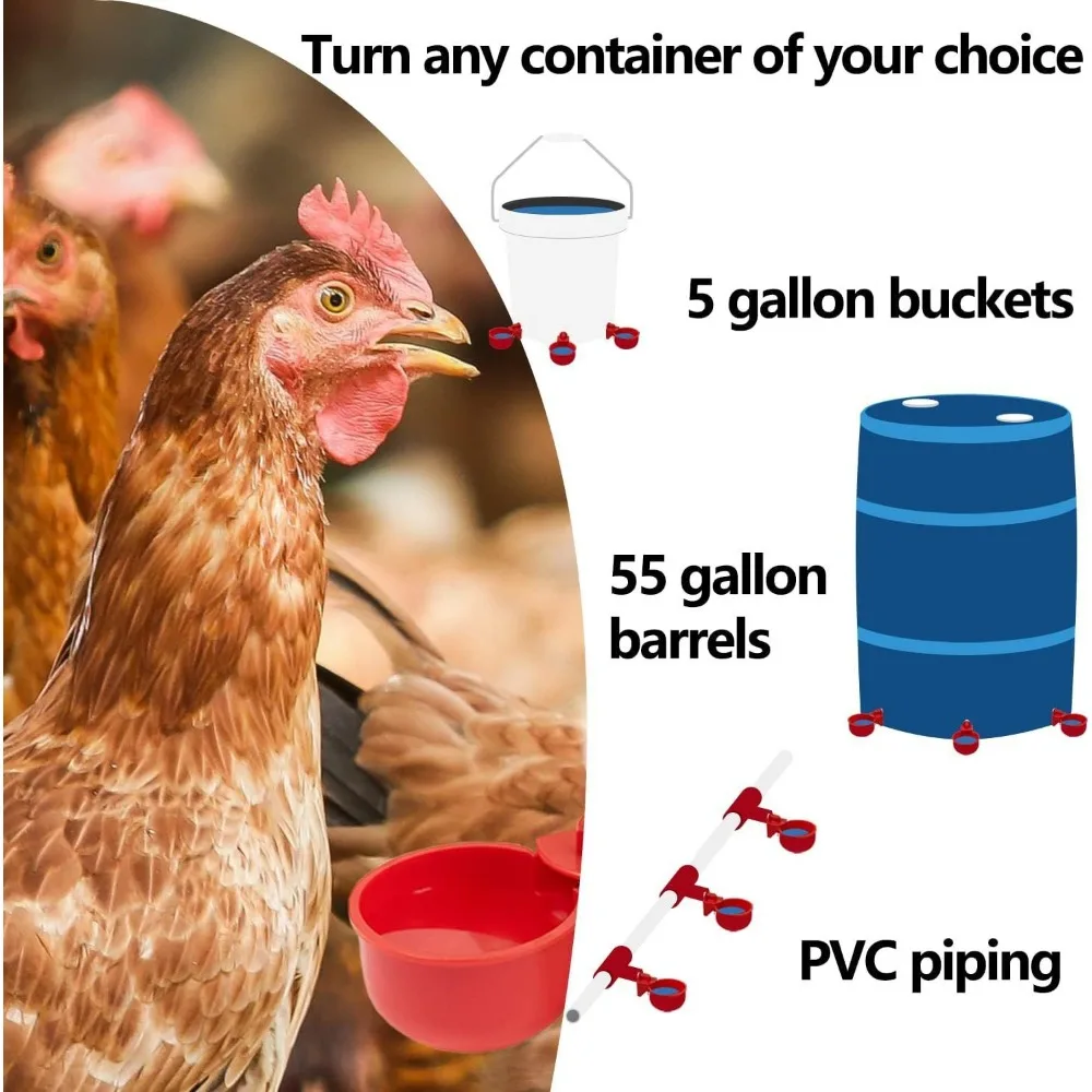 Bebedouro Automático para Aves Suspenso com Abastecimento Contínuo - Imagem 5