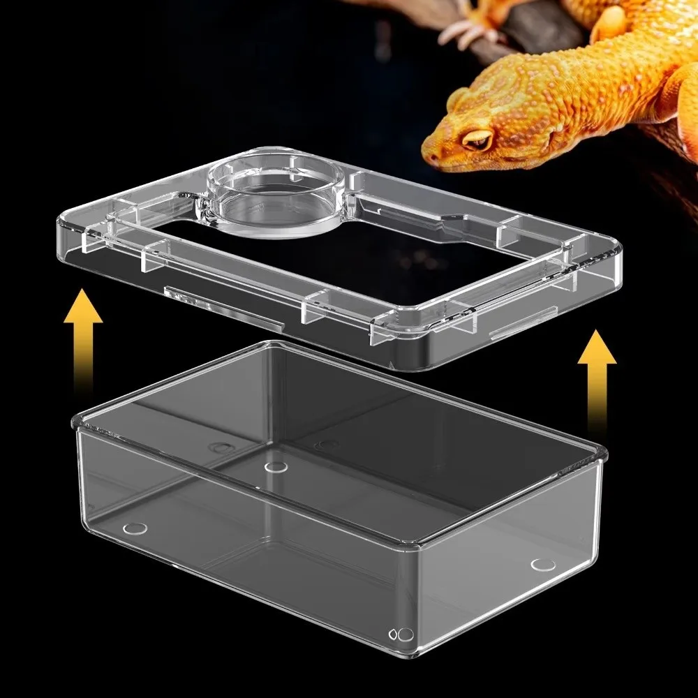 Tigela para Répteis Transparente Anti-fugas para Tenebrio Molitor - Imagem 3