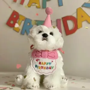 chapéu e bandana para aniversário de pets
