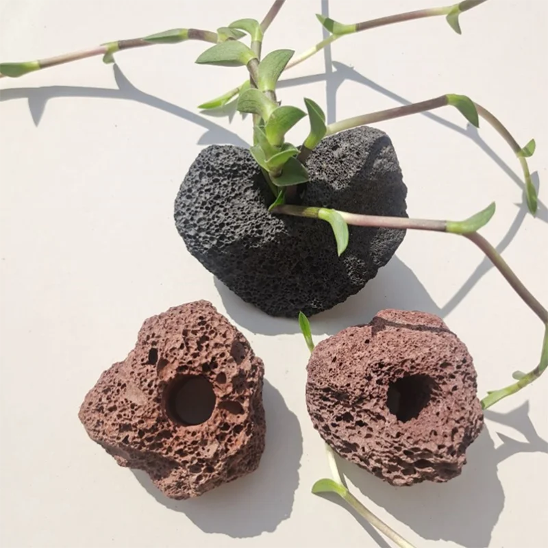 Vaso de Planta para Aquário Vulcânico com Fixação de Plantas 7-8 cm - Imagem 4