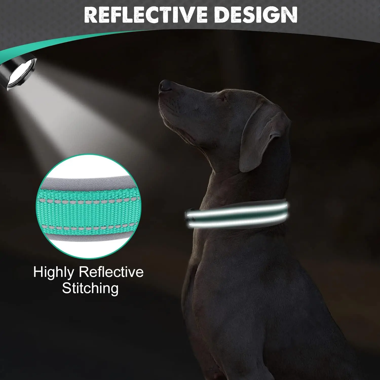 Coleira para Cães de Nylon Neoprene com Faixas Refletivas Ajustável - Imagem 3