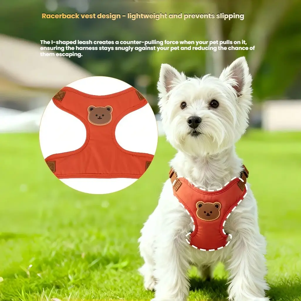 Conjunto Peitoral e Guia para Cães e Gatos Pequenos e Médios Ajustável - Imagem 4