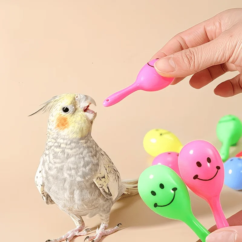Kit 10 Brinquedos para Papagaios com Sino e Bolas Coloridas - Imagem 3