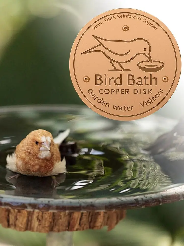 Disco de Cobre para Banho de Pássaros com Base Antiderrapante - Imagem 5