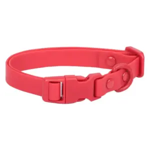 coleira elástica para cães e gatos
