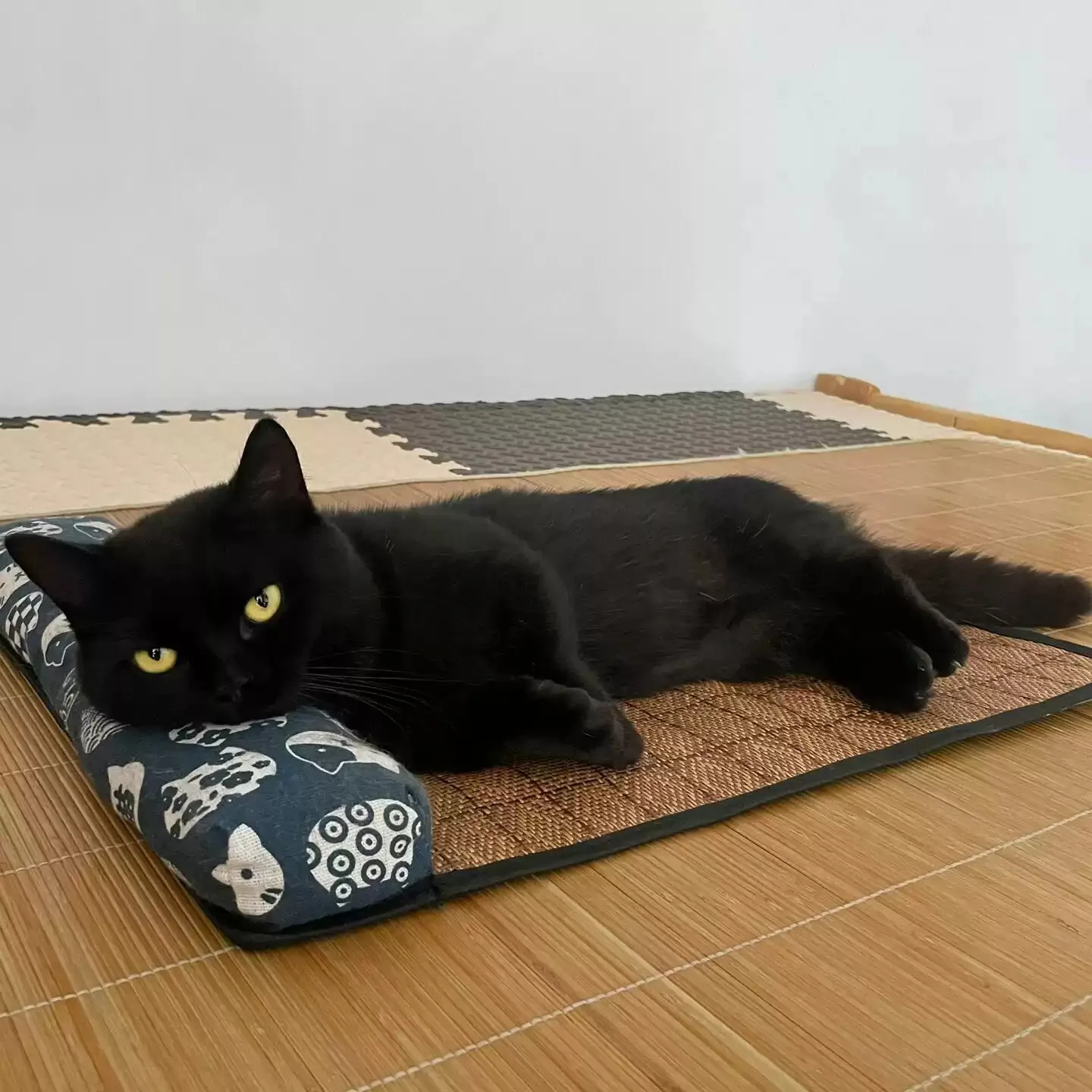 Tapete de Resfriamento para Gatos e Cães de Rattan e Tecido - Imagem 2