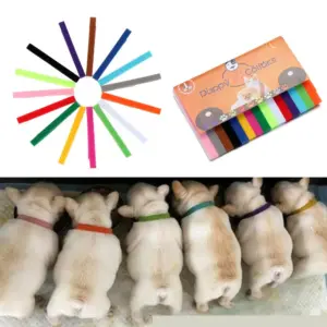 coleiras de identificação para filhotes