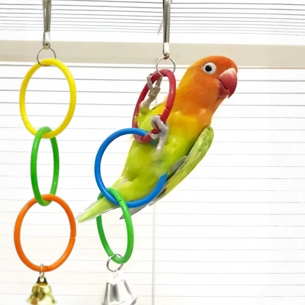 brinquedo de argola para pássaros