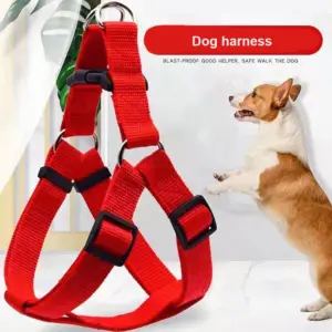 colete ajustável para cães e gatos