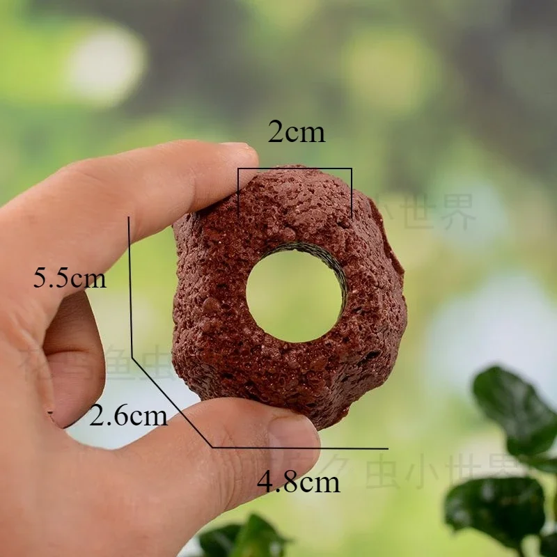 Anel de Cerâmica para Plantas de Aquário com Peso para Submergir - Imagem 3