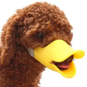 focinheira de silicone para cães