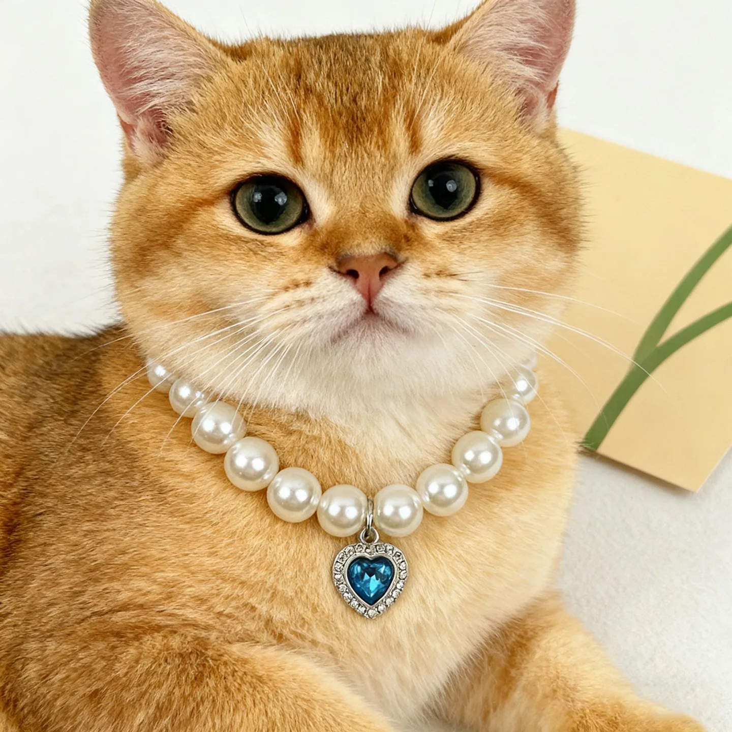 Coleira de Pérolas para Cães e Gatos Pequenos com Tamanho Ajustável - Imagem 3