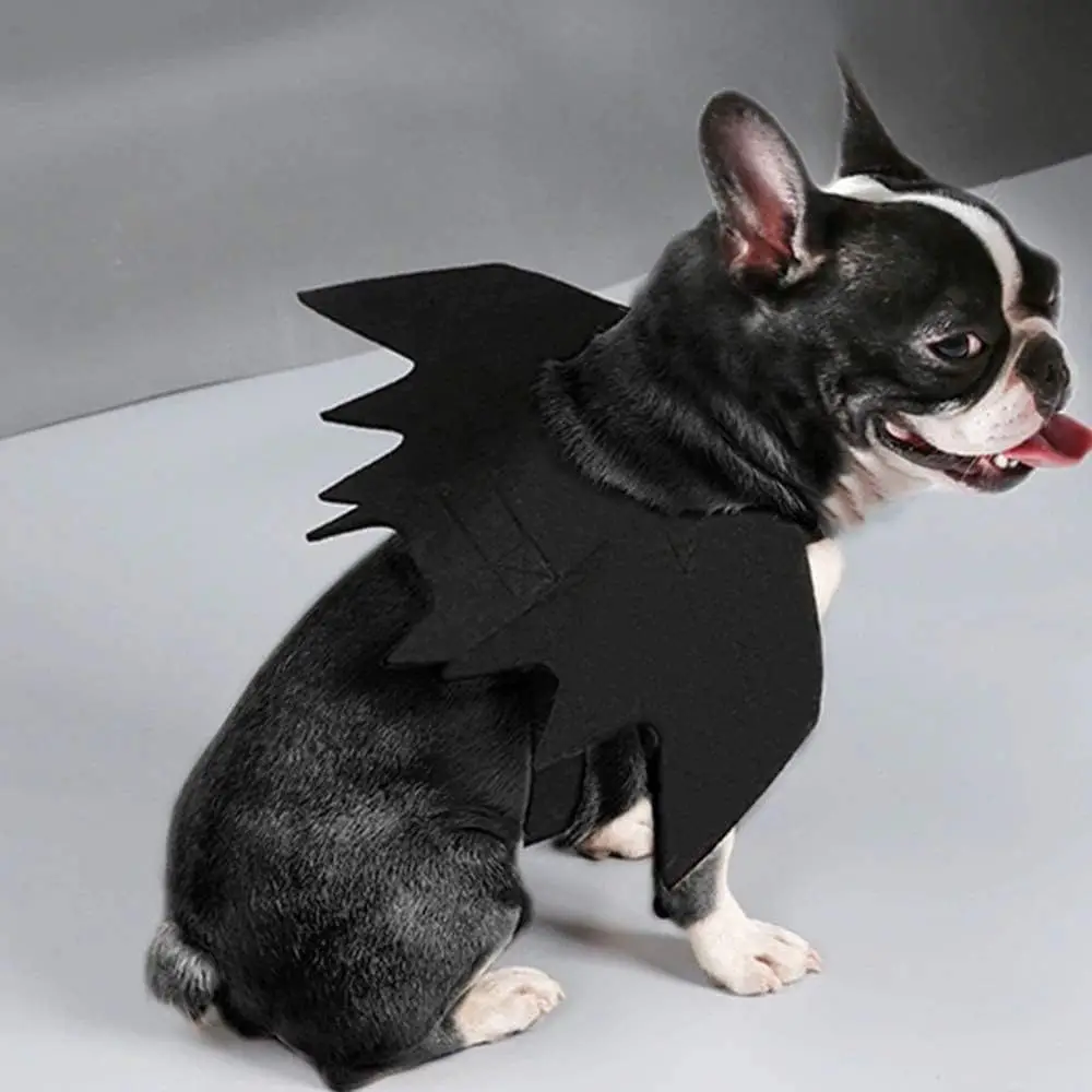Asas de Morcego para Gatos de Feltro com Ajuste em Velcro para Fantasia - Image 6