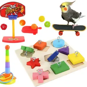 conjunto de brinquedos para papagaio
