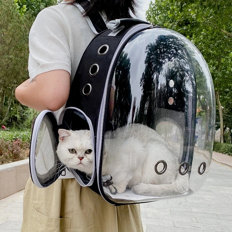 Mochila de Transporte para Gatos e Cães Pequenos Transparente Verde - Imagem 6