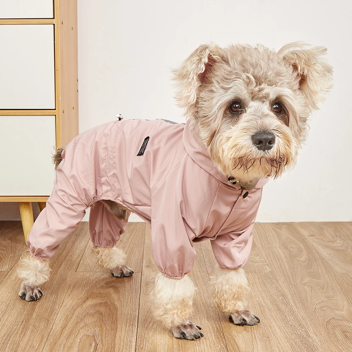 Capa de Chuva para Cães Pequenos Refletiva com Capuz - Imagem 6