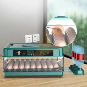 incubadora de ovos automática para aves