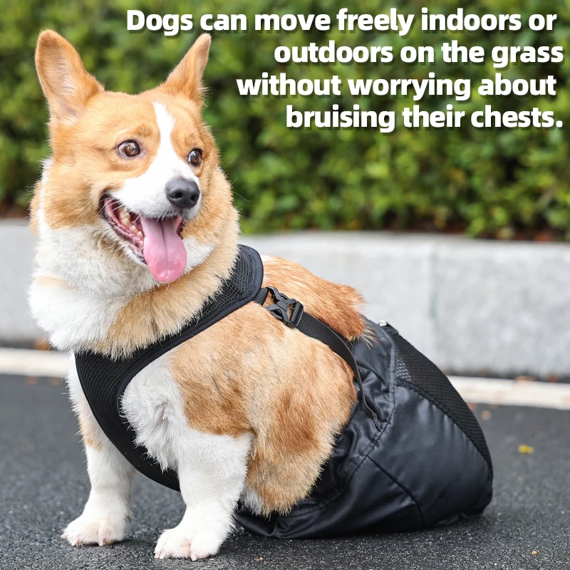 Bolsa de Arrastamento para Cães com Pernas Traseiras Ajustável - Imagem 3