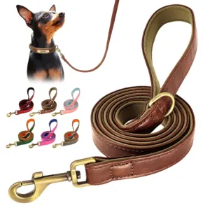 coleira de couro para cães 5 pés