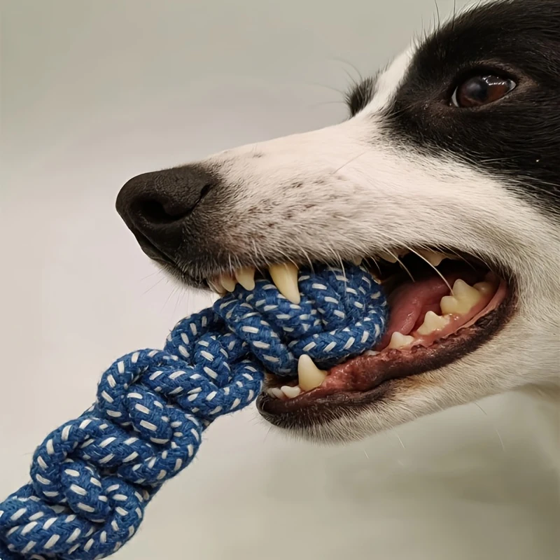 Brinquedo para Cães Bola de Corda de Algodão com Nó para Filhotes - Imagem 5