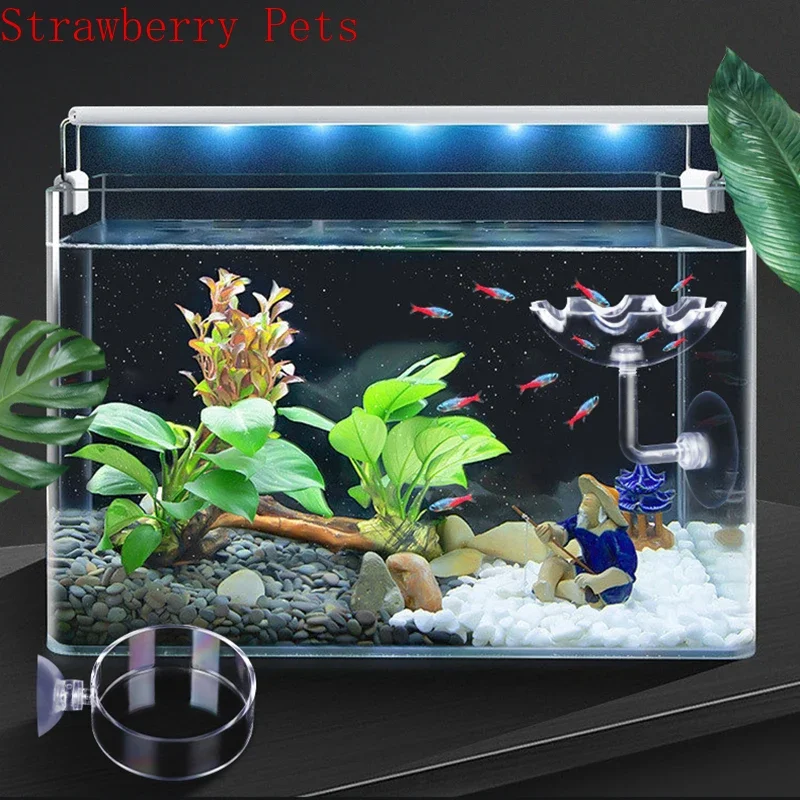 Alimentador para Camarão de Aquário em Vidro Transparente Circular 6 cm - Imagem 4