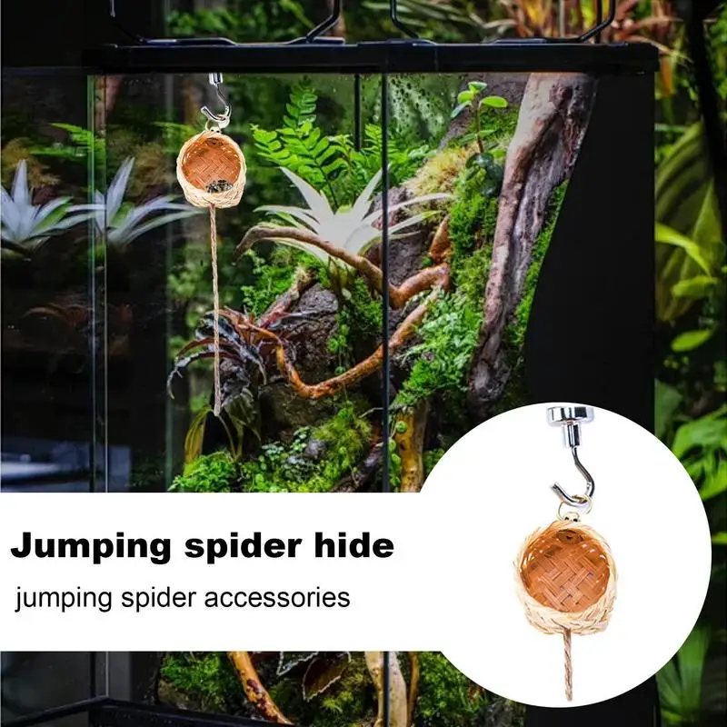 Abrigo para Aranhas de Salto com Imãs e Corda de Escalada - Imagem 3