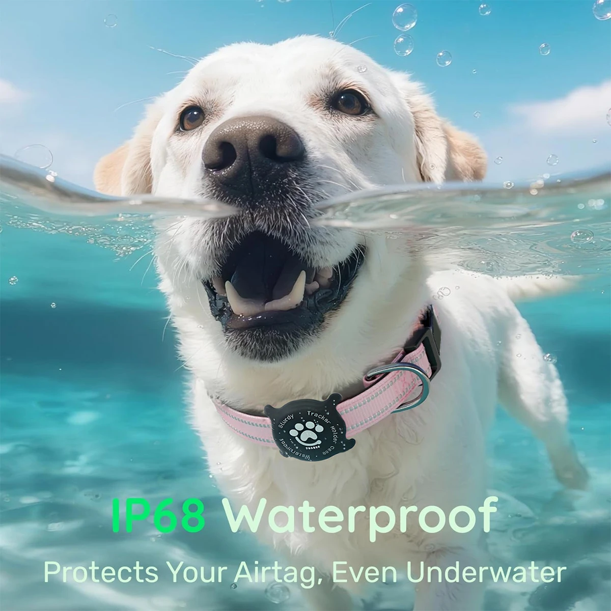 Coleira Refletiva para Cães com Suporte para AirTag, Impermeável - Imagem 3