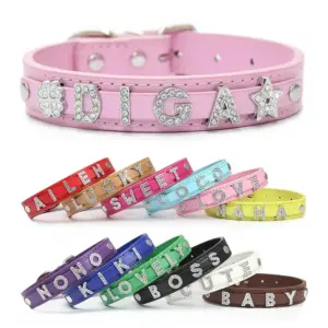 coleira personalizada couro pu strass