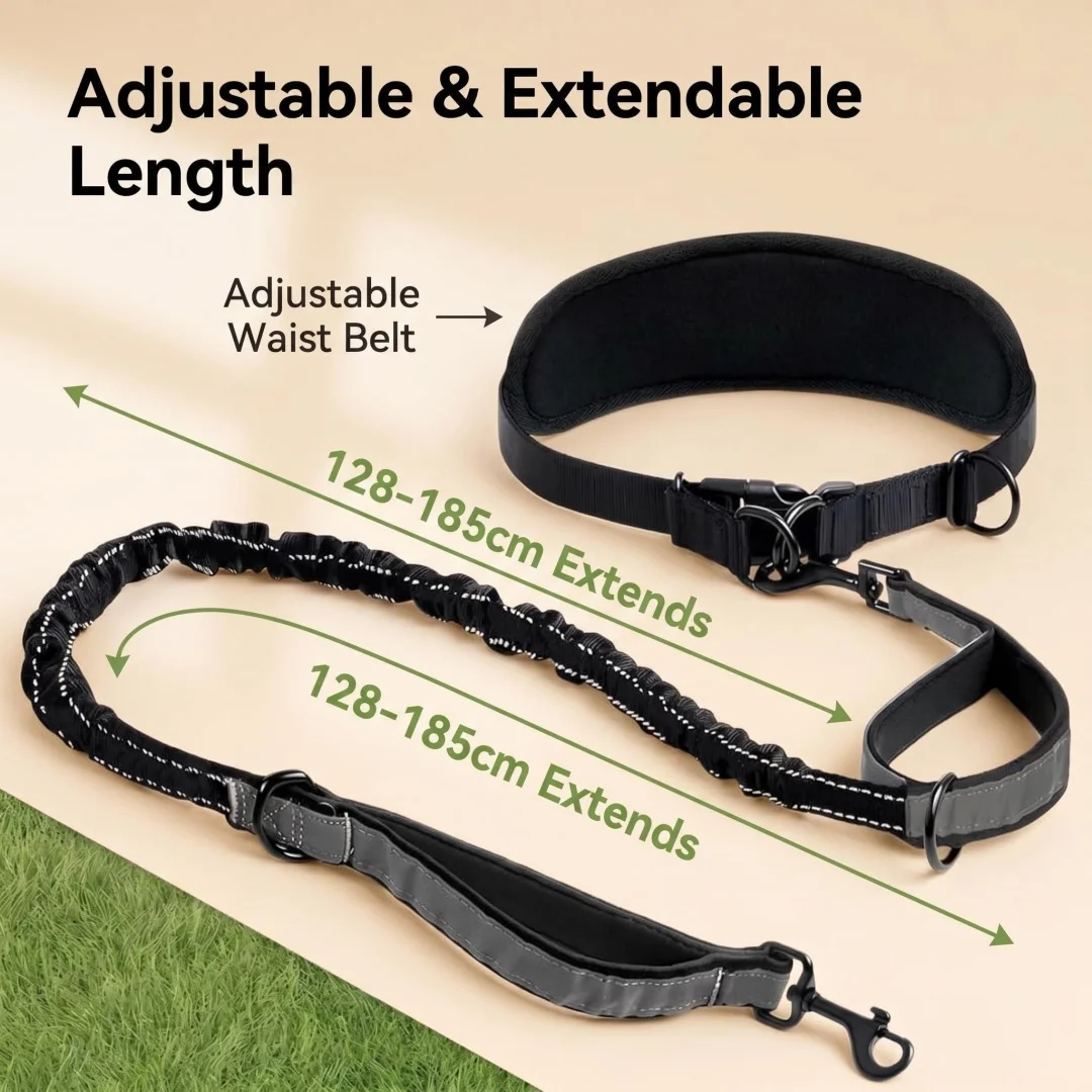 coleira bungee para cães com cinto lombar
