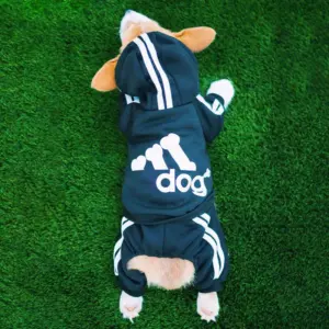 moletom com capuz para cães pequenos