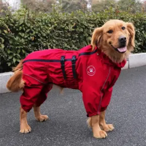 capa de chuva para cães