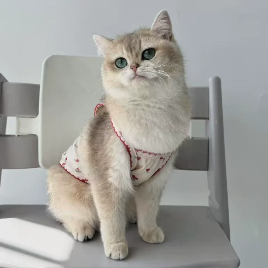 Regata para Cães com Estampa de Cereja Macia - Imagem 5
