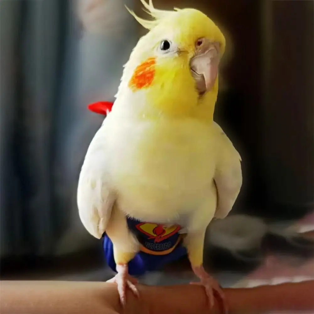 Fralda para Pássaros Periquito Calopsita Pombos Leve - Imagem 3