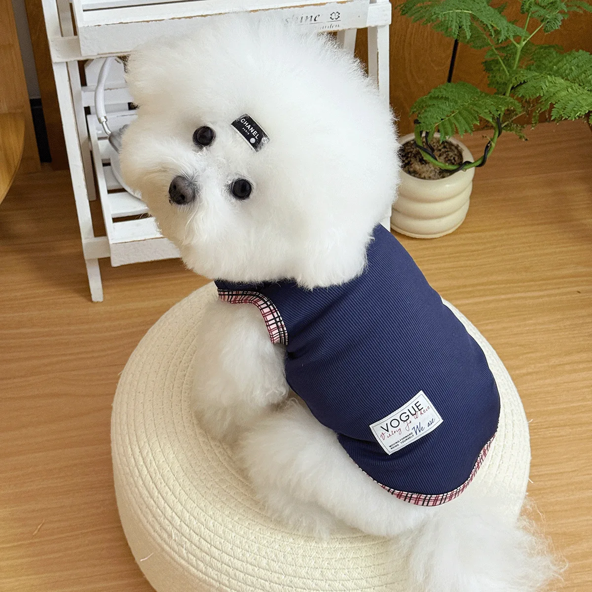 Vestido Colegial para Cães Pequenos com Saia Xadrez Azul - Imagem 4