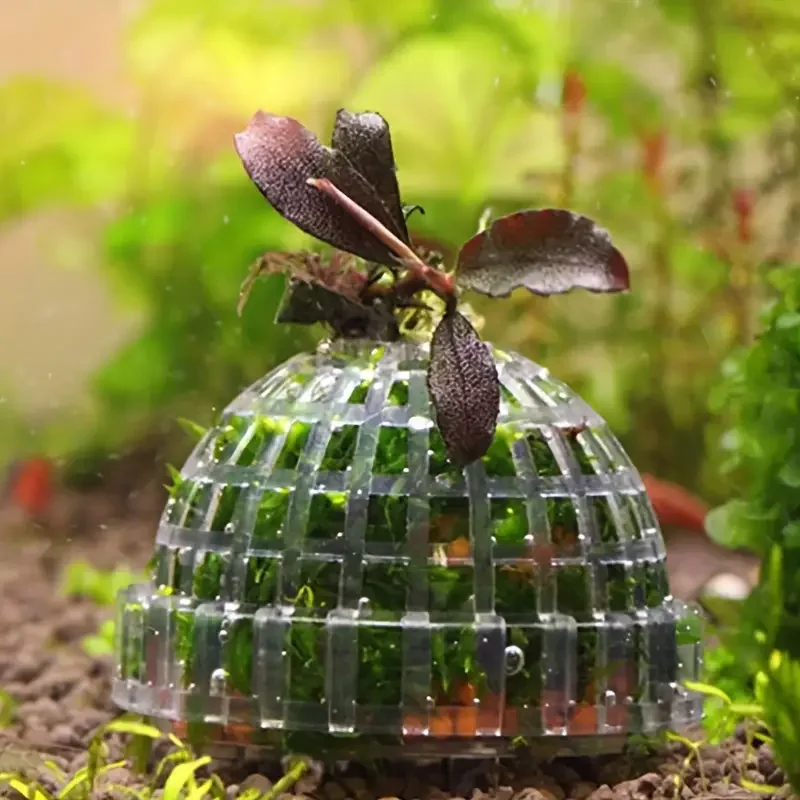 Filtro de Bola de Musgo para Aquário de Plástico Transparente com Estrutura Rosqueada - Imagem 2