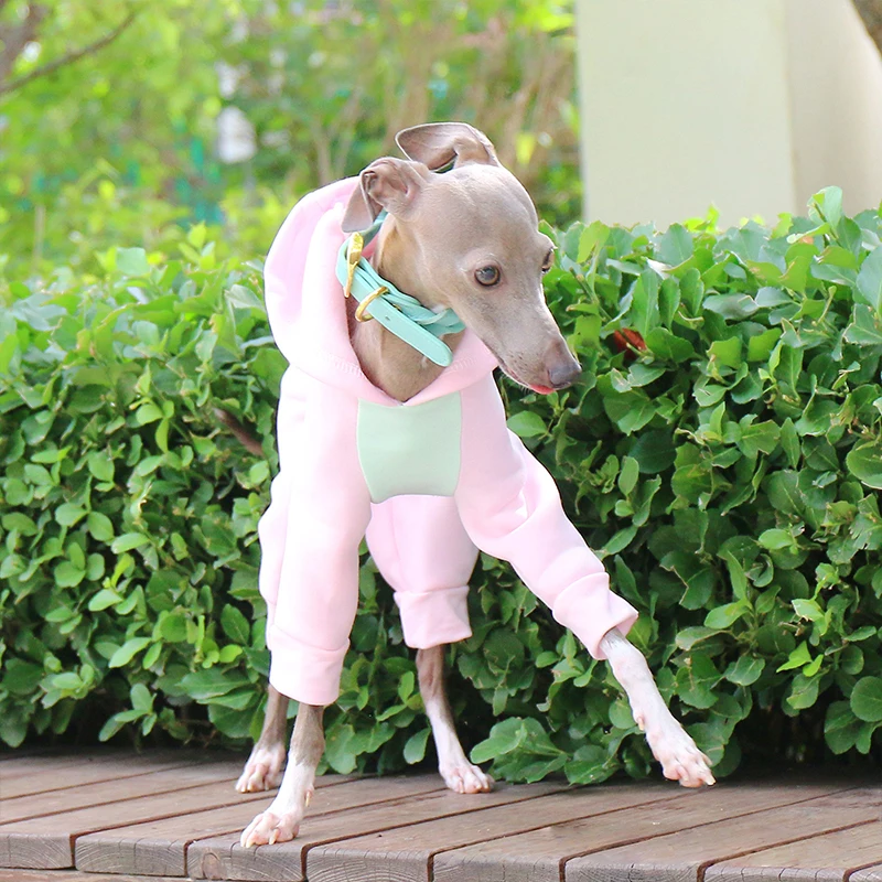 Suéter de Lã para Cães Galgo e Whippet com Capuz e Quatro Patas - Imagem 6
