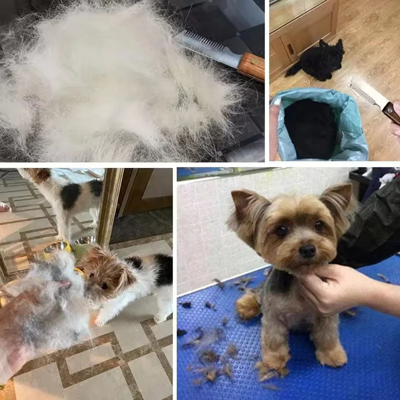 Faca de Tosa para Cães e Gatos com Cabo de Madeira 17 cm - Imagem 5