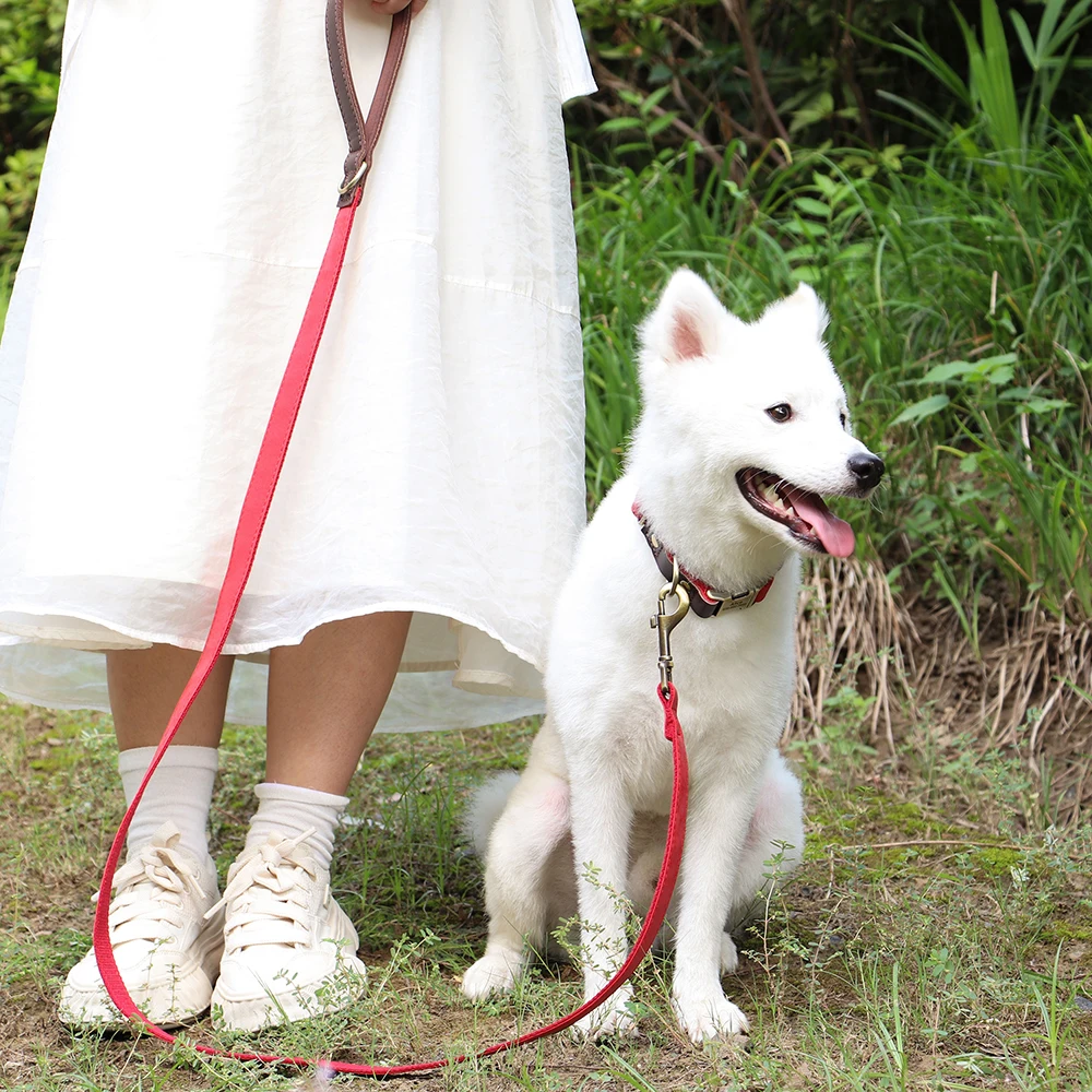 Guia de Nylon para Cães de 1,8 m com 2 cm de Largura - Imagem 5