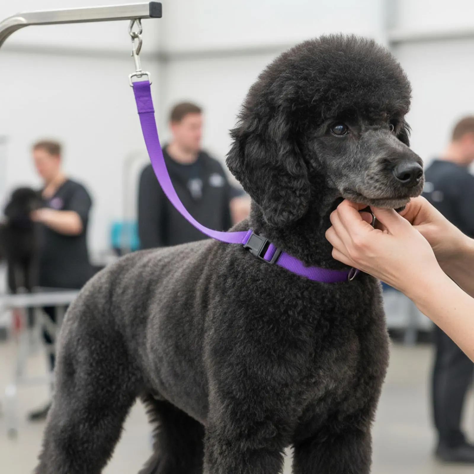 Cinta de Segurança para Tosa de Cães Ajustável para Mesa de Tosa - Imagem 4