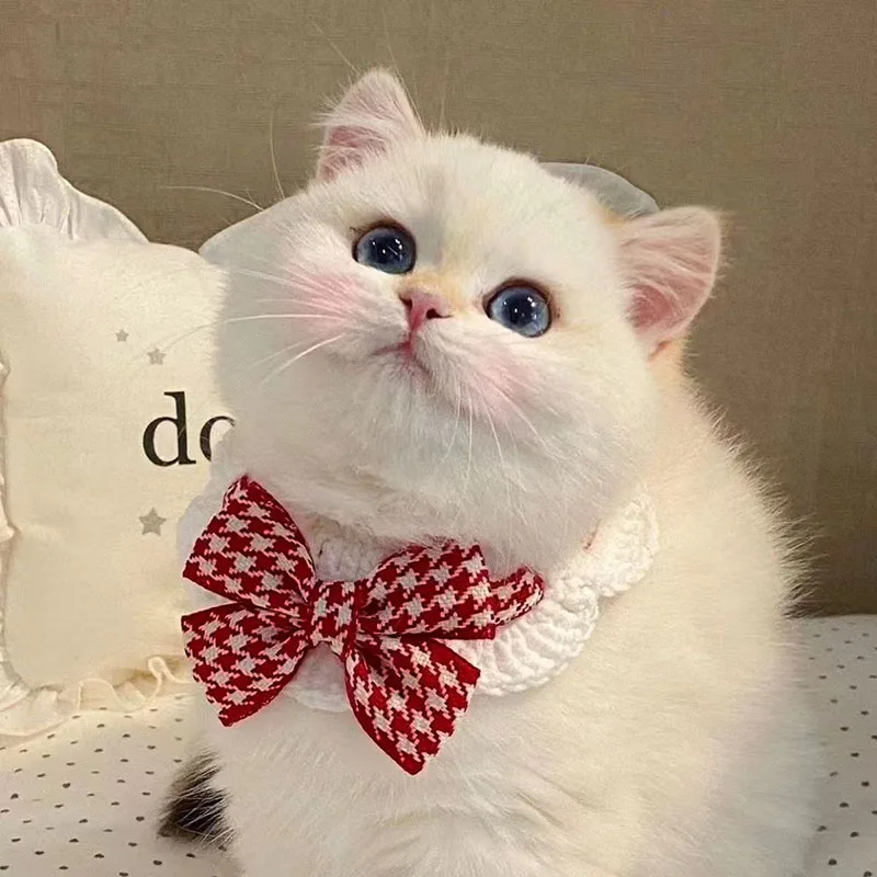 Coleira de Crochê para Gatos e Cães Pequenos com Gravata Borboleta - Imagem 3