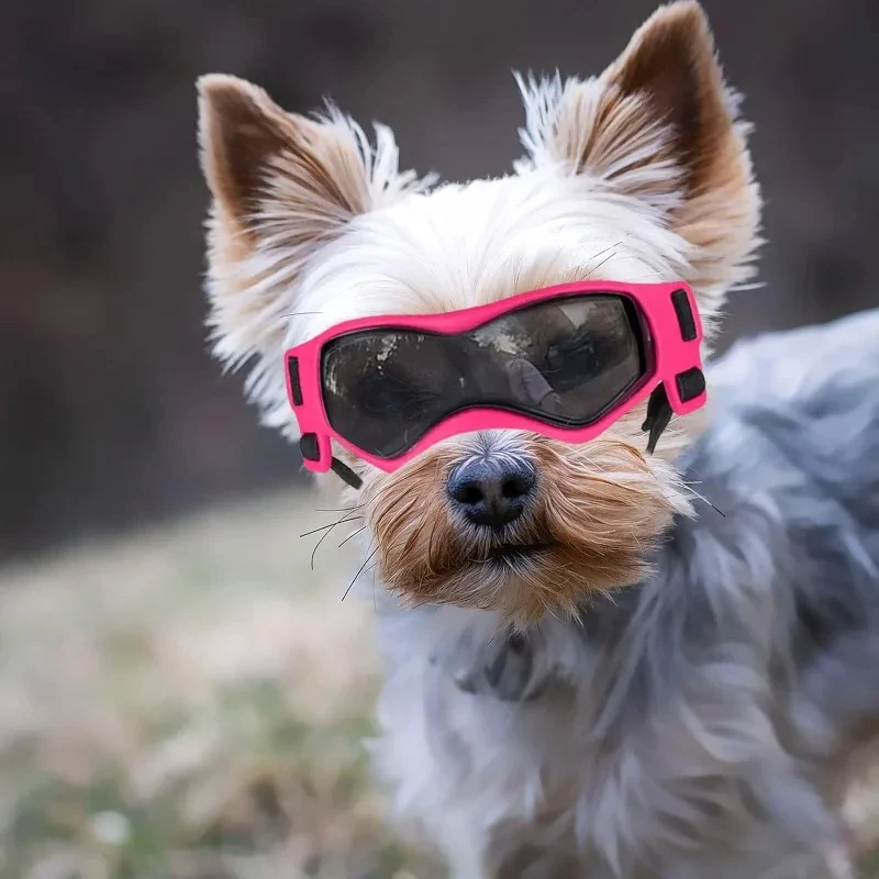 óculos de proteção UV para cães