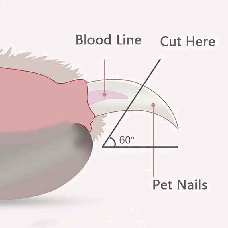 Cortador de Unhas para Pets com Luz LED e Cabo Antiderrapante - Imagem 6