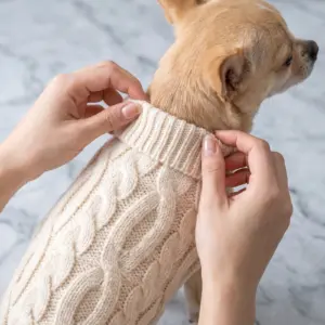 suéter de malha para cães