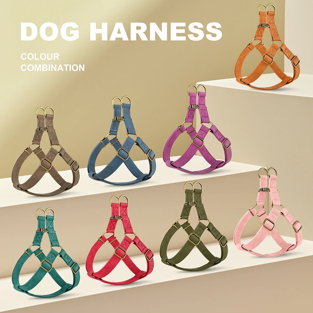 Conjunto Peitoral e Coleira para Cães Pequenos e Médios Ajustável - Image 2