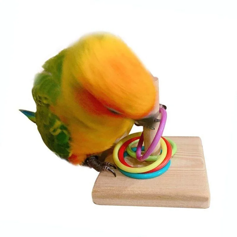 Brinquedo de Anel para Pássaros de Madeira e Plástico para Treinamento - Imagem 2