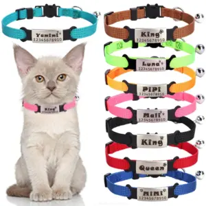coleira para gatos com fivela de segurança