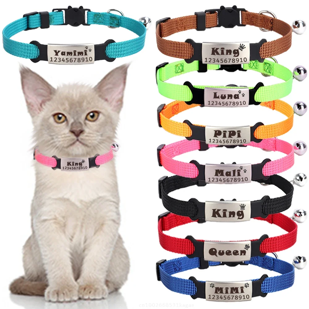 coleira para gatos com fivela de segurança