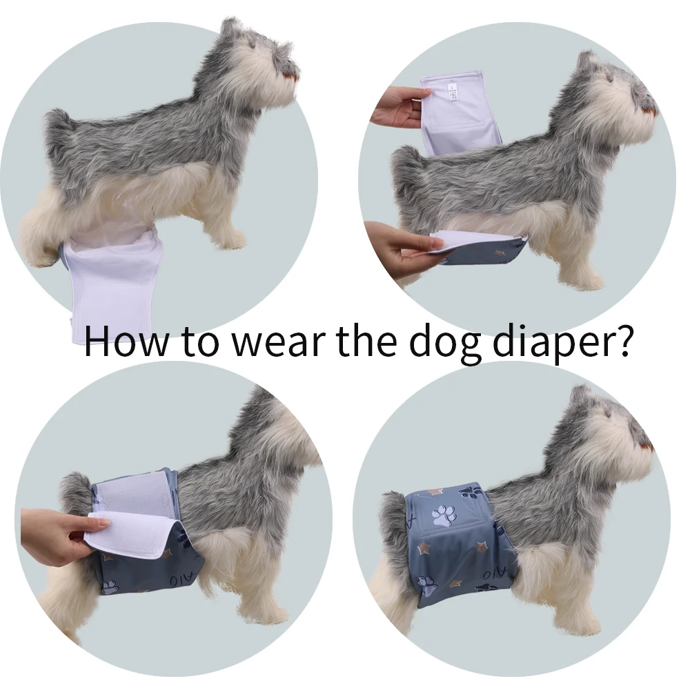 Kit 3 Fraldas Reutilizáveis para Cães Machos Laváveis - Imagem 6