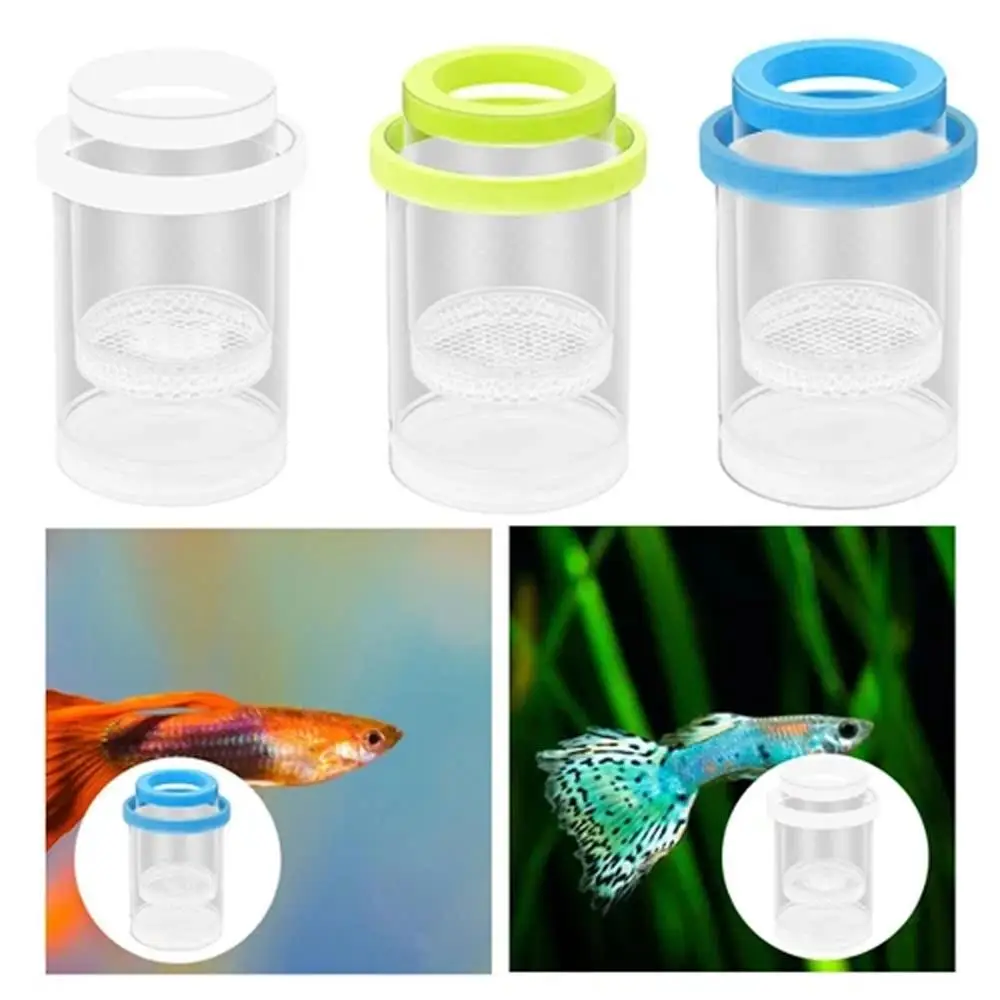 Caixa de Isolamento Flutuante para Aquário Plástico 7,8 cm com Suspensão - Imagem 4