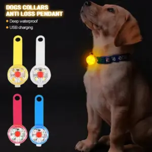 coleira LED recarregável USB para cães